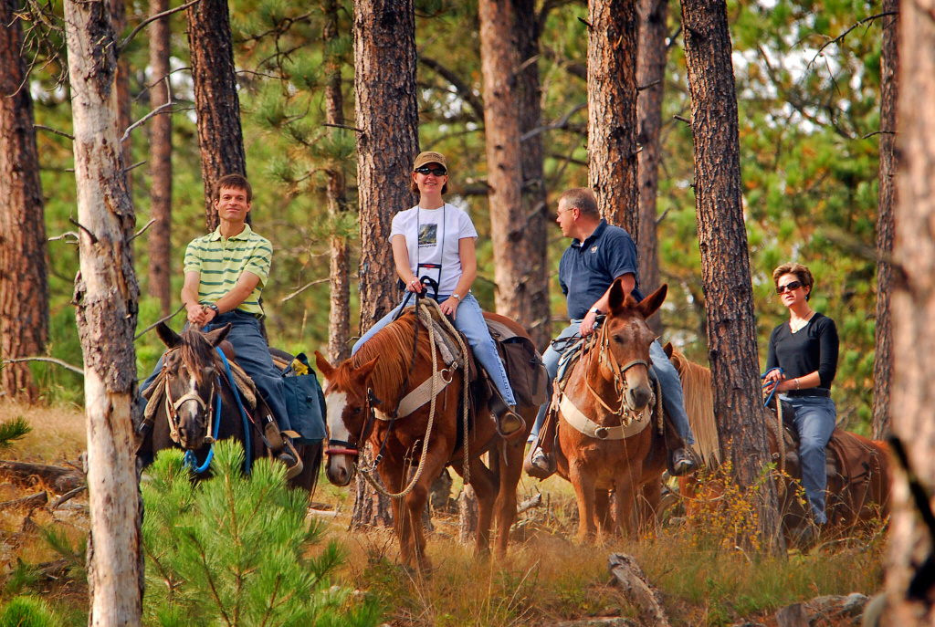Прогулки на лошадях в Астрахани