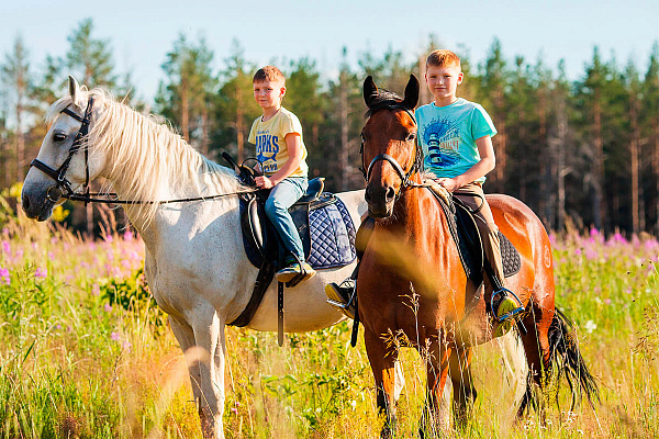 Обучение верховой езде в Астрахани. Сервис Ultra Подарки. Купить обучение верховой езде в Астрахани. Вы сможете попробовать курс по верховой езде и конные прогулки. Сервис UltraPodarki.ru 8 800 505 95 30. Обучение верховой езде, верховая езда в Астрахани, верховая езда Астрахань, конный спорт, уроки верховой езды, школа верховой езды, конные прогулки, верховая езда, школа верховой езды в Астрахани, конные прогулки в Астрахани, обучение верховой езде в Астрахани, конный спорт в Астрахани, уроки верховой езды в Астрахани