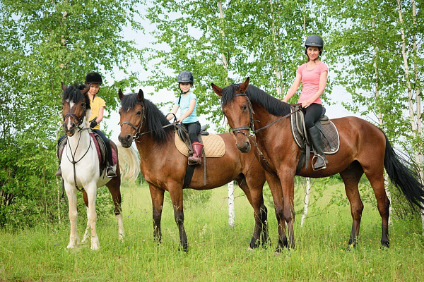 Обучение верховой езде в Астрахани. Сервис Ultra Подарки. Купить обучение верховой езде в Астрахани. Вы сможете попробовать курс по верховой езде и конные прогулки. Сервис UltraPodarki.ru 8 800 505 95 30. Обучение верховой езде, верховая езда в Астрахани, верховая езда Астрахань, конный спорт, уроки верховой езды, школа верховой езды, конные прогулки, верховая езда, школа верховой езды в Астрахани, конные прогулки в Астрахани, обучение верховой езде в Астрахани, конный спорт в Астрахани, уроки верховой езды в Астрахани