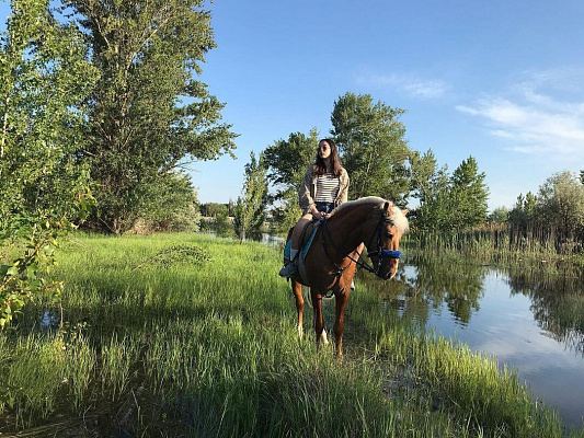 Обучение верховой езде в Астрахани. Сервис Ultra Подарки. Купить обучение верховой езде в Астрахани. Вы сможете попробовать курс по верховой езде и конные прогулки. Сервис UltraPodarki.ru 8 800 505 95 30. Обучение верховой езде, верховая езда в Астрахани, верховая езда Астрахань, конный спорт, уроки верховой езды, школа верховой езды, конные прогулки, верховая езда, школа верховой езды в Астрахани, конные прогулки в Астрахани, обучение верховой езде в Астрахани, конный спорт в Астрахани, уроки верховой езды в Астрахани