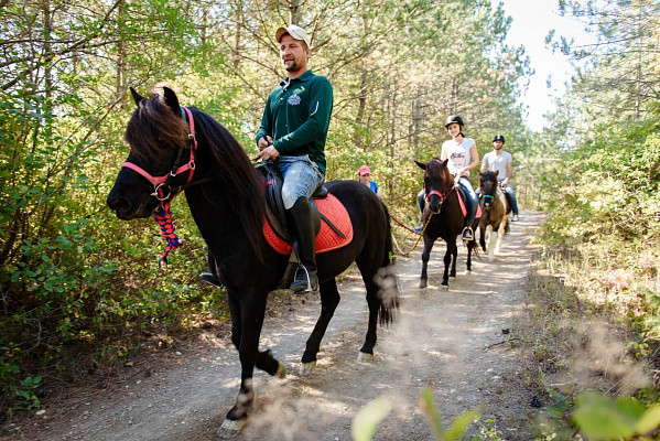 Обучение верховой езде в Астрахани. Сервис Ultra Подарки. Купить обучение верховой езде в Астрахани. Вы сможете попробовать курс по верховой езде и конные прогулки. Сервис UltraPodarki.ru 8 800 505 95 30. Обучение верховой езде, верховая езда в Астрахани, верховая езда Астрахань, конный спорт, уроки верховой езды, школа верховой езды, конные прогулки, верховая езда, школа верховой езды в Астрахани, конные прогулки в Астрахани, обучение верховой езде в Астрахани, конный спорт в Астрахани, уроки верховой езды в Астрахани
