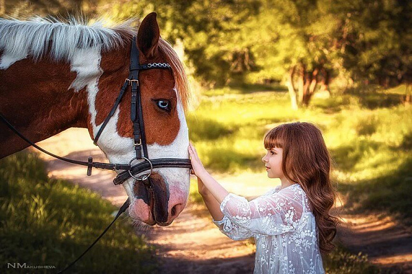 Обучение верховой езде в Астрахани. Сервис Ultra Подарки. Купить обучение верховой езде в Астрахани. Вы сможете попробовать курс по верховой езде и конные прогулки. Сервис UltraPodarki.ru 8 800 505 95 30. Обучение верховой езде, верховая езда в Астрахани, верховая езда Астрахань, конный спорт, уроки верховой езды, школа верховой езды, конные прогулки, верховая езда, школа верховой езды в Астрахани, конные прогулки в Астрахани, обучение верховой езде в Астрахани, конный спорт в Астрахани, уроки верховой езды в Астрахани