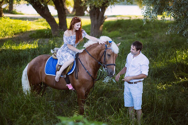 Обучение верховой езде в Астрахани. Сервис Ultra Подарки. Купить обучение верховой езде в Астрахани. Вы сможете попробовать курс по верховой езде и конные прогулки. Сервис UltraPodarki.ru 8 800 505 95 30. Обучение верховой езде, верховая езда в Астрахани, верховая езда Астрахань, конный спорт, уроки верховой езды, школа верховой езды, конные прогулки, верховая езда, школа верховой езды в Астрахани, конные прогулки в Астрахани, обучение верховой езде в Астрахани, конный спорт в Астрахани, уроки верховой езды в Астрахани