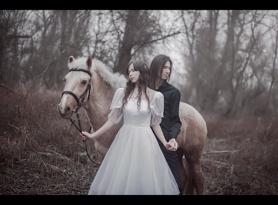 Обучение верховой езде в Астрахани. Сервис Ultra Подарки. Купить обучение верховой езде в Астрахани. Вы сможете попробовать курс по верховой езде и конные прогулки. Сервис UltraPodarki.ru 8 800 505 95 30. Обучение верховой езде, верховая езда в Астрахани, верховая езда Астрахань, конный спорт, уроки верховой езды, школа верховой езды, конные прогулки, верховая езда, школа верховой езды в Астрахани, конные прогулки в Астрахани, обучение верховой езде в Астрахани, конный спорт в Астрахани, уроки верховой езды в Астрахани